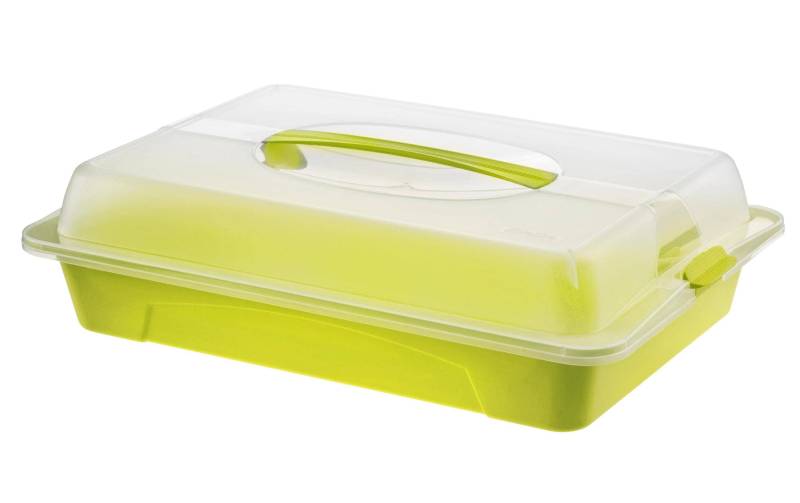 ROTHO Kuchentransportbox »COOL & FRESH hellgrün«, (1 tlg.) von ROTHO