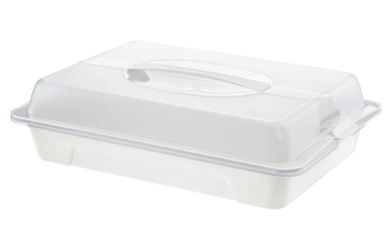 ROTHO Kuchentransportbox »COOL & FRESH weiss«, (1 tlg.) von ROTHO