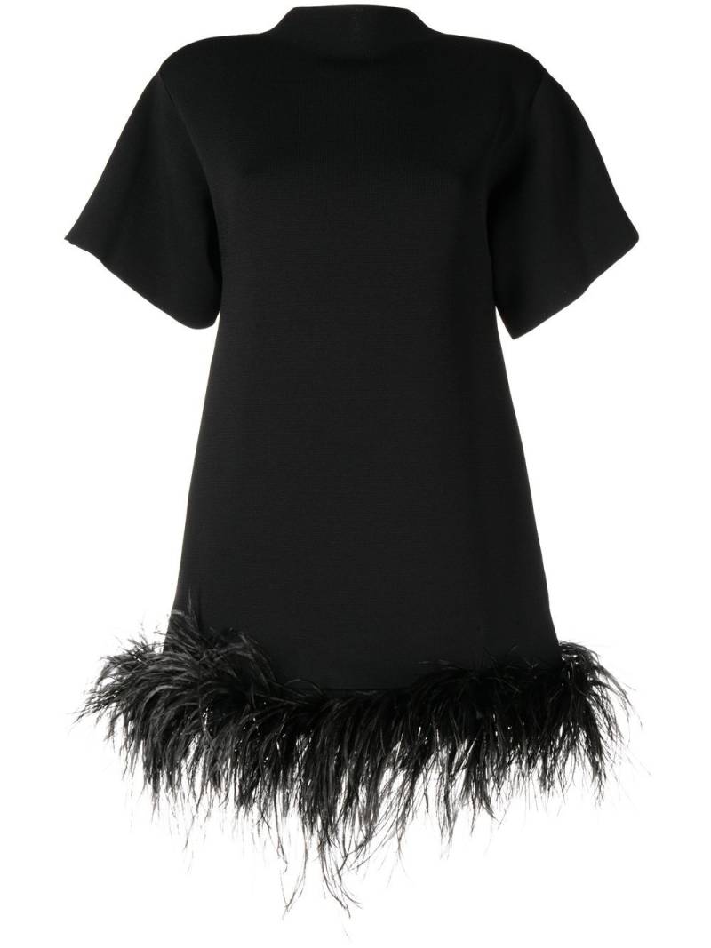 Rachel Gilbert Rita feather-trim mini dress - Black von Rachel Gilbert