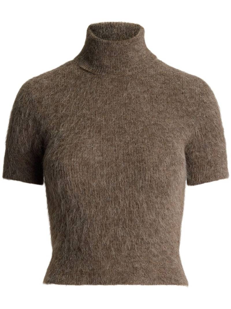 Ralph Lauren Collection cropped roll neck top - Brown von Ralph Lauren Collection