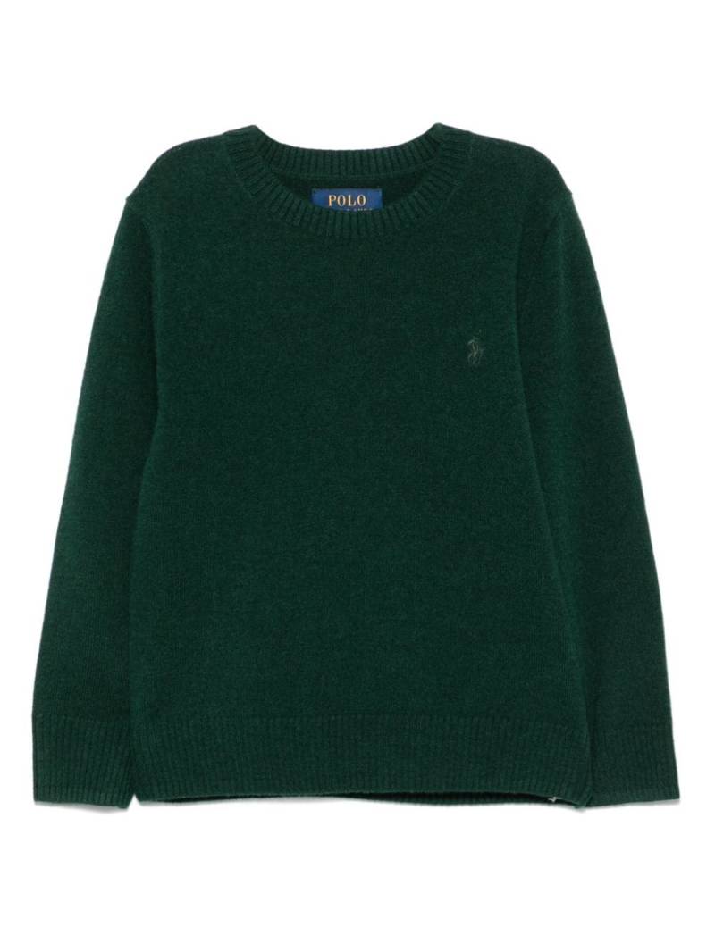 Ralph Lauren Kids Polo Pony-embroidered sweater - Green von Ralph Lauren Kids