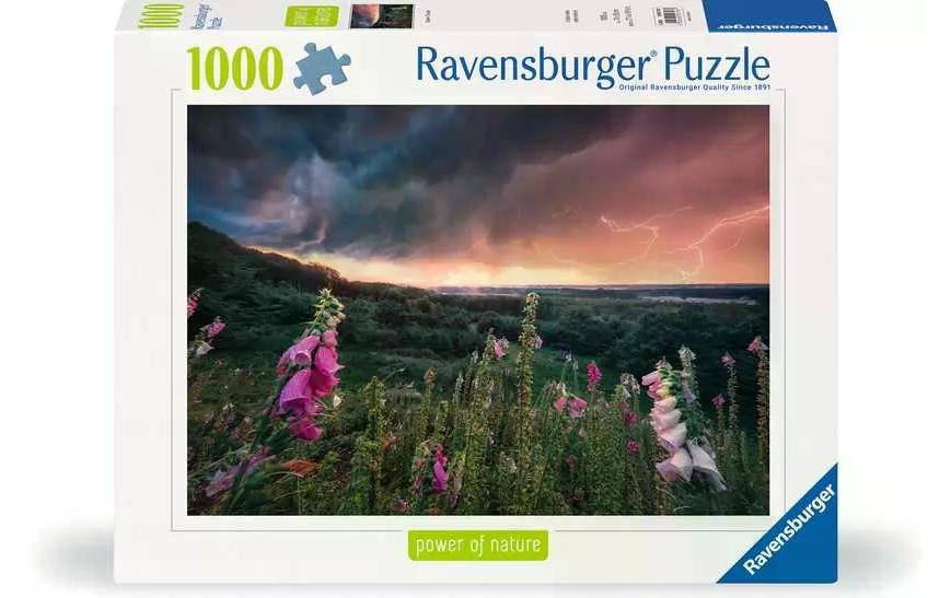 Ravensburger Puzzle »Ein Sturm zieht auf 1000 Teile« von Ravensburger