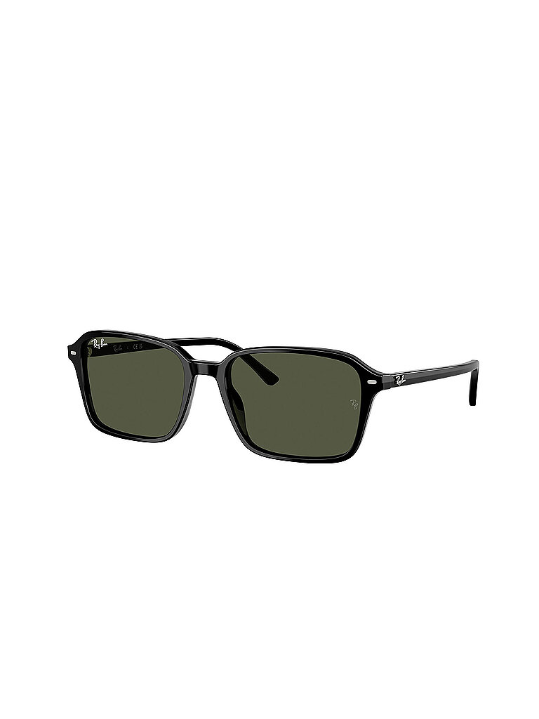 RAY BAN Sonnenbrille 0RB2231/58 schwarz von Ray Ban