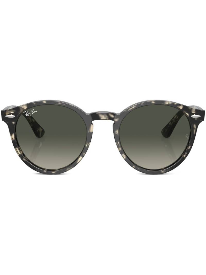 Ray-Ban Larry round-frame sunglasses - Grey von Ray-Ban