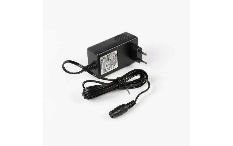 Razor Ladestation »Netzteil Europa (12V/1.2A 1000mA)« von Razor