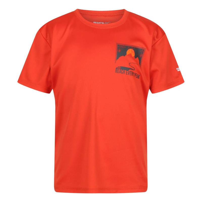 Alvarado Vii Tshirt Jungen Orange 146/152 von Regatta