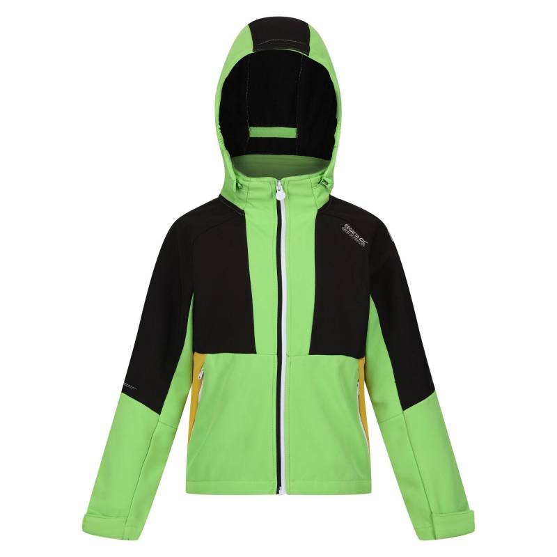 Haydenbury Softshelljacke Mädchen Limettengrün 104 von Regatta