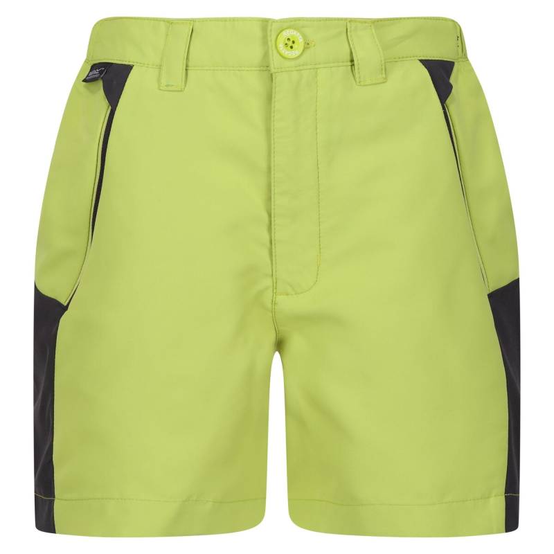 Sorcer Mountain Iii Shorts Jungen Pastellgrün 146/152 von Regatta