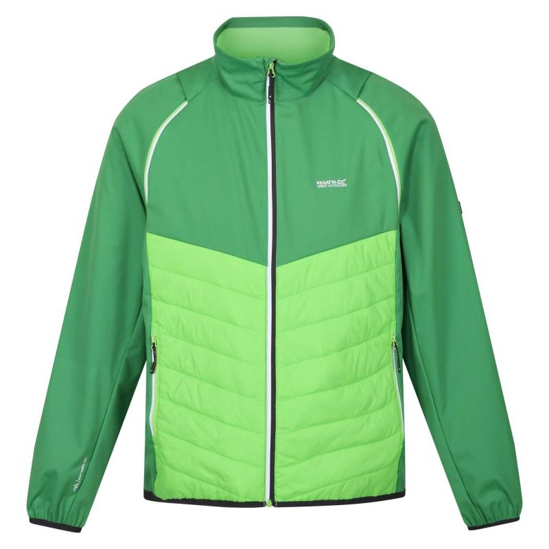 Steren Hybrid Softshelljacke Herren Grün 3XL von Regatta