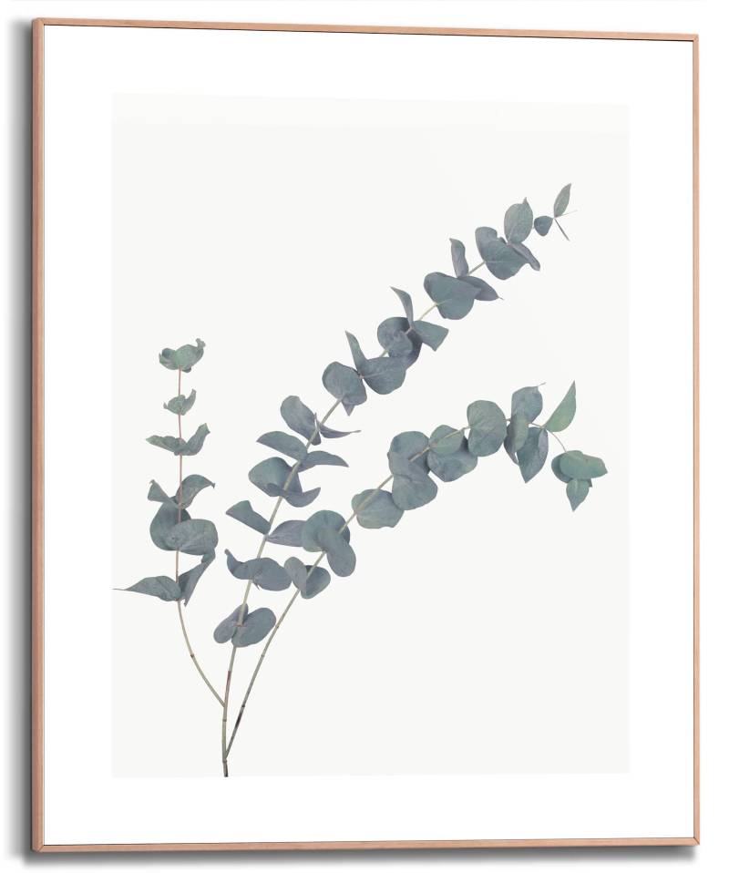 Reinders! Bild mit Rahmen »Eucalyptus«, (1 St.) von Reinders!