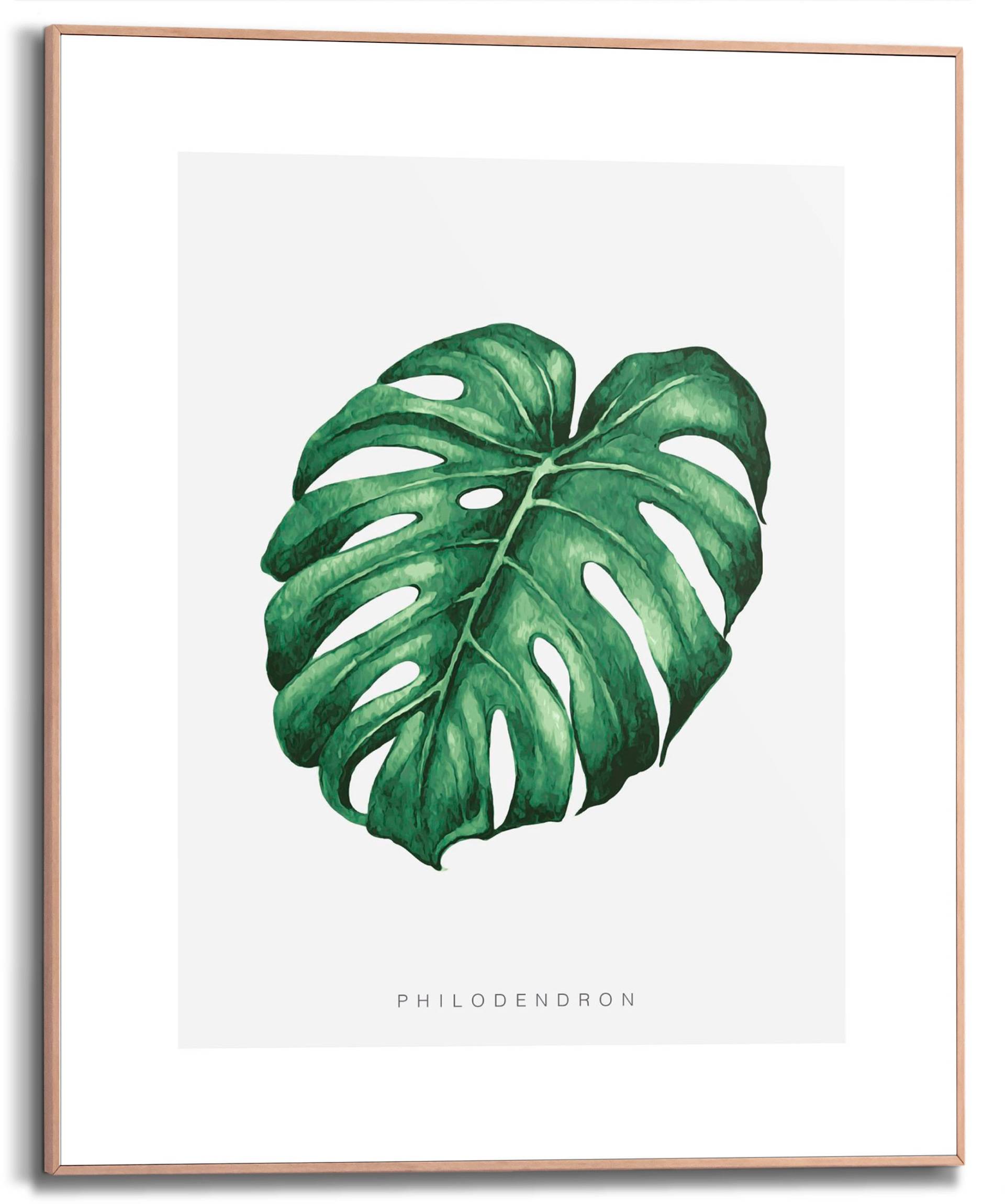 Reinders! Bild mit Rahmen »Monstera Leaf«, (1 St.) von Reinders!