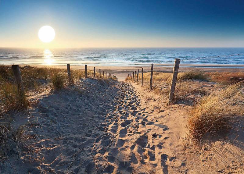 Reinders! Deco-Panel »Dünenweg zum Meer« von Reinders!