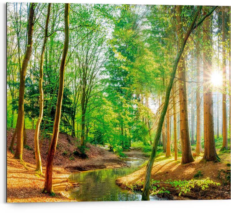 Reinders! Deco-Panel »Sonniger Wald« von Reinders!