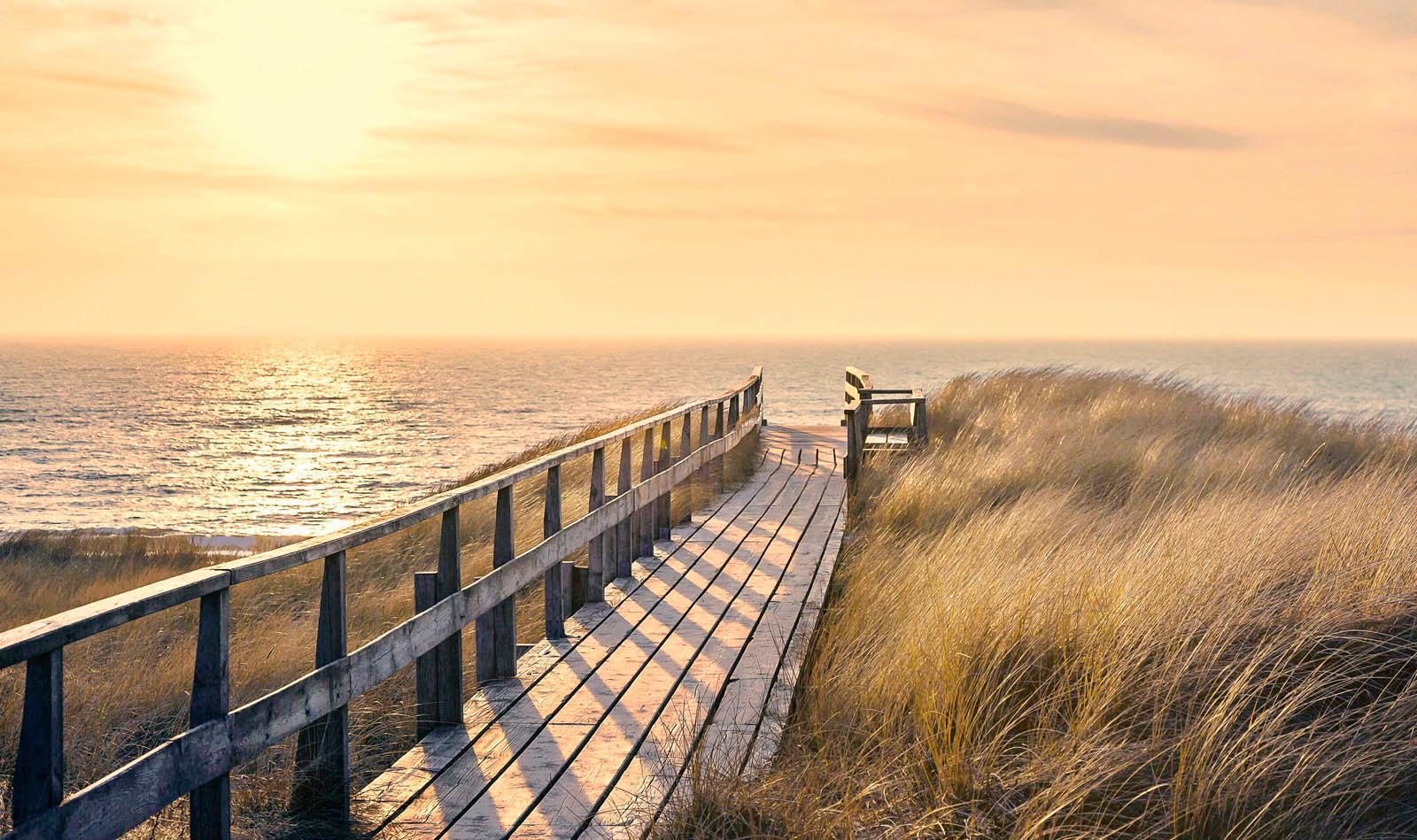 Reinders! Deco-Panel »Way to the Sea«, 118/70 cm Reinders! Deco-Panel »Way to the Sea«, 118/70 cm von Reinders!