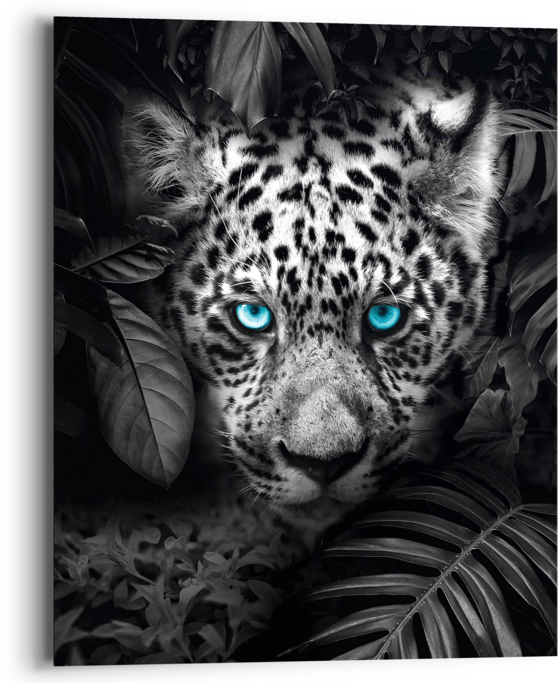 Reinders! Holzbild »Blue Eyed Leopard«, (1 St.) von Reinders!