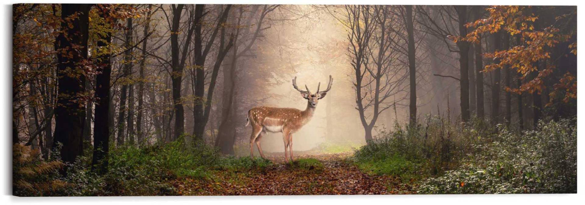 Reinders! Holzbild »Deco Block 40x118 Majestic Deer« von Reinders!