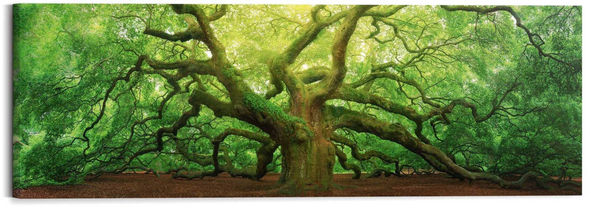 Reinders! Holzbild »Deco Block 40x118 Old Oak« Reinders! Holzbild »Deco Block 40x118 Old Oak« von Reinders!