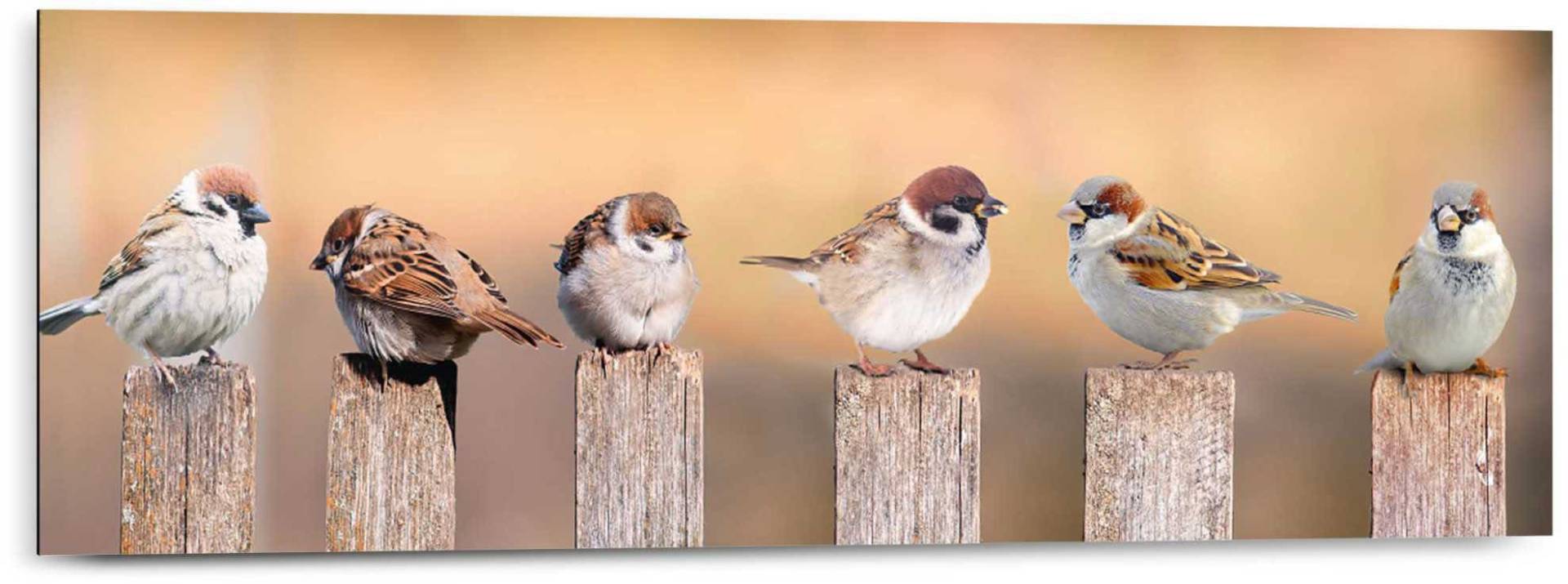 Reinders! Holzbild »Deco Panel 30x90 Bird Family« von Reinders!