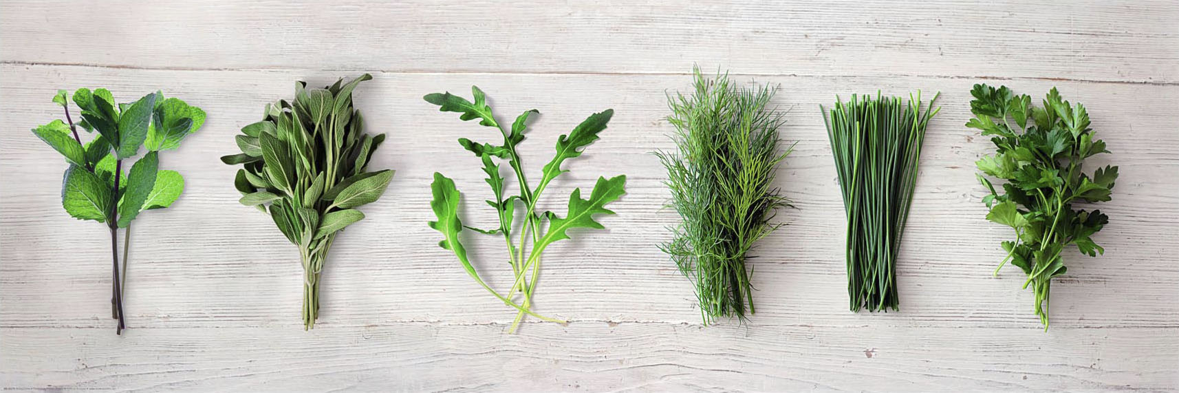 Reinders! Holzbild »Deco Panel 30x90 Kitchen Herbs« von Reinders!