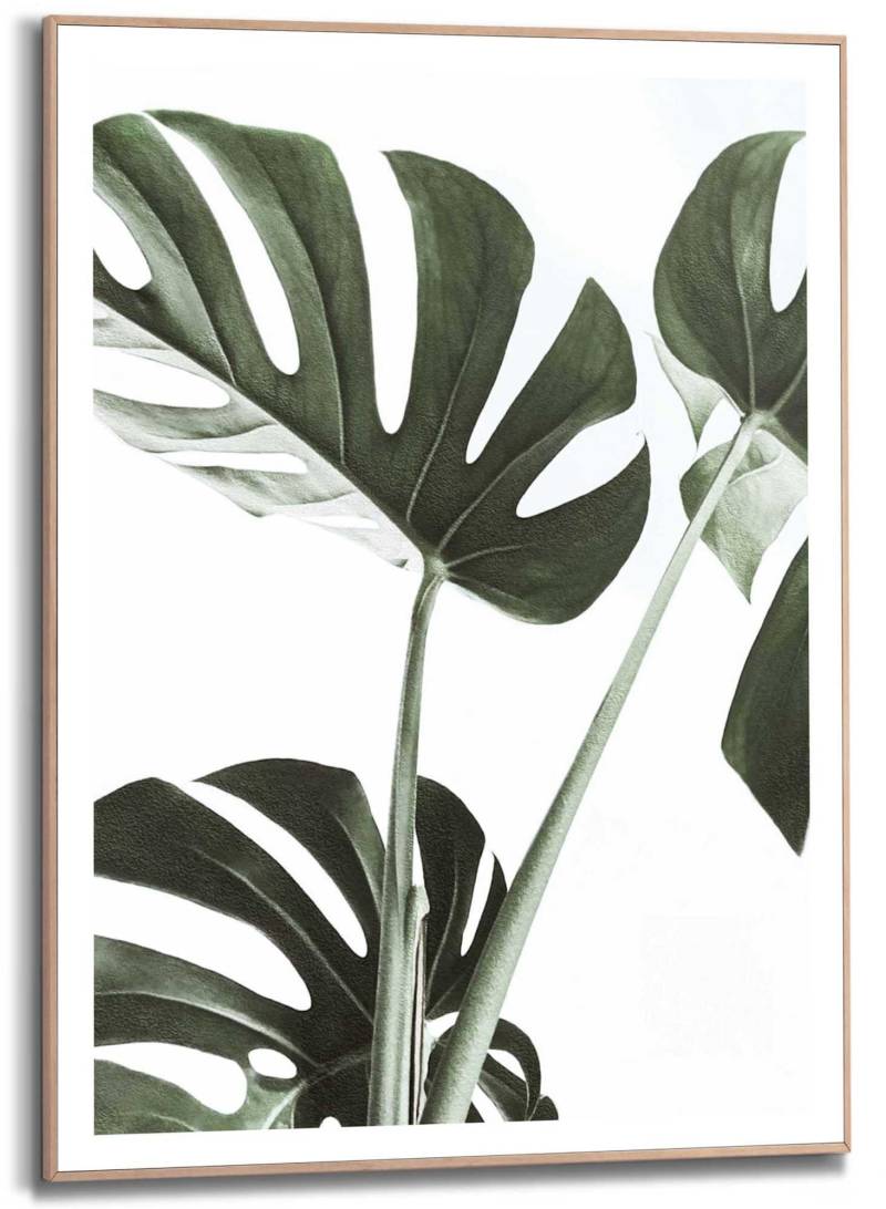 Reinders! Kunstdruck »Monstera« von Reinders!