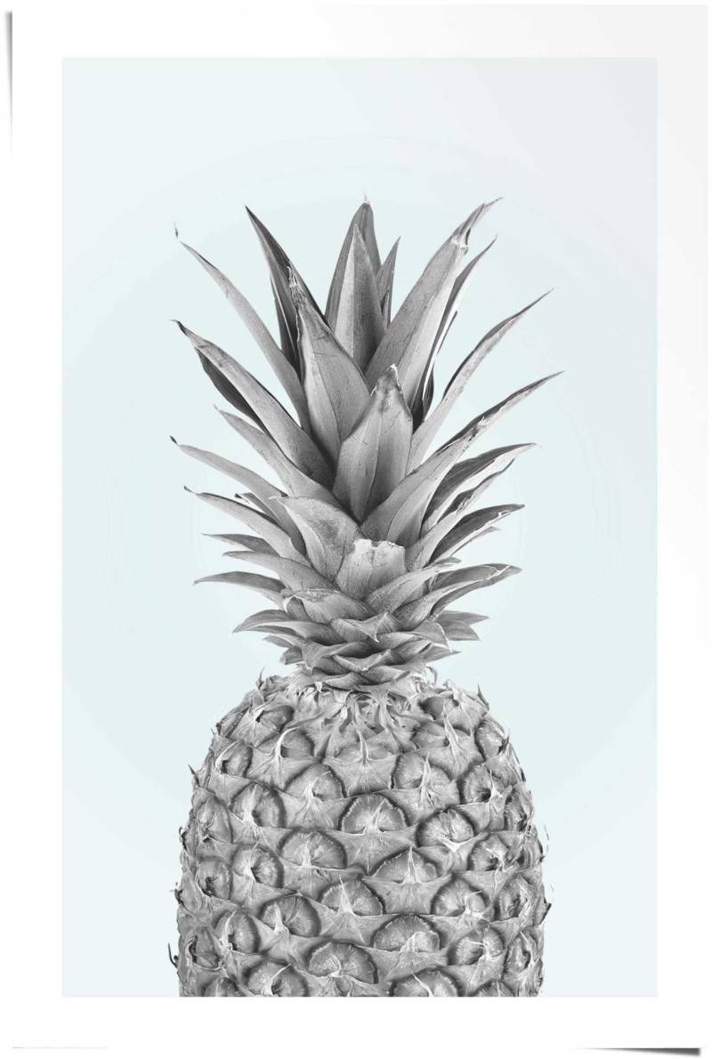 Reinders! Poster »Ananas«, (1 St.) von Reinders!