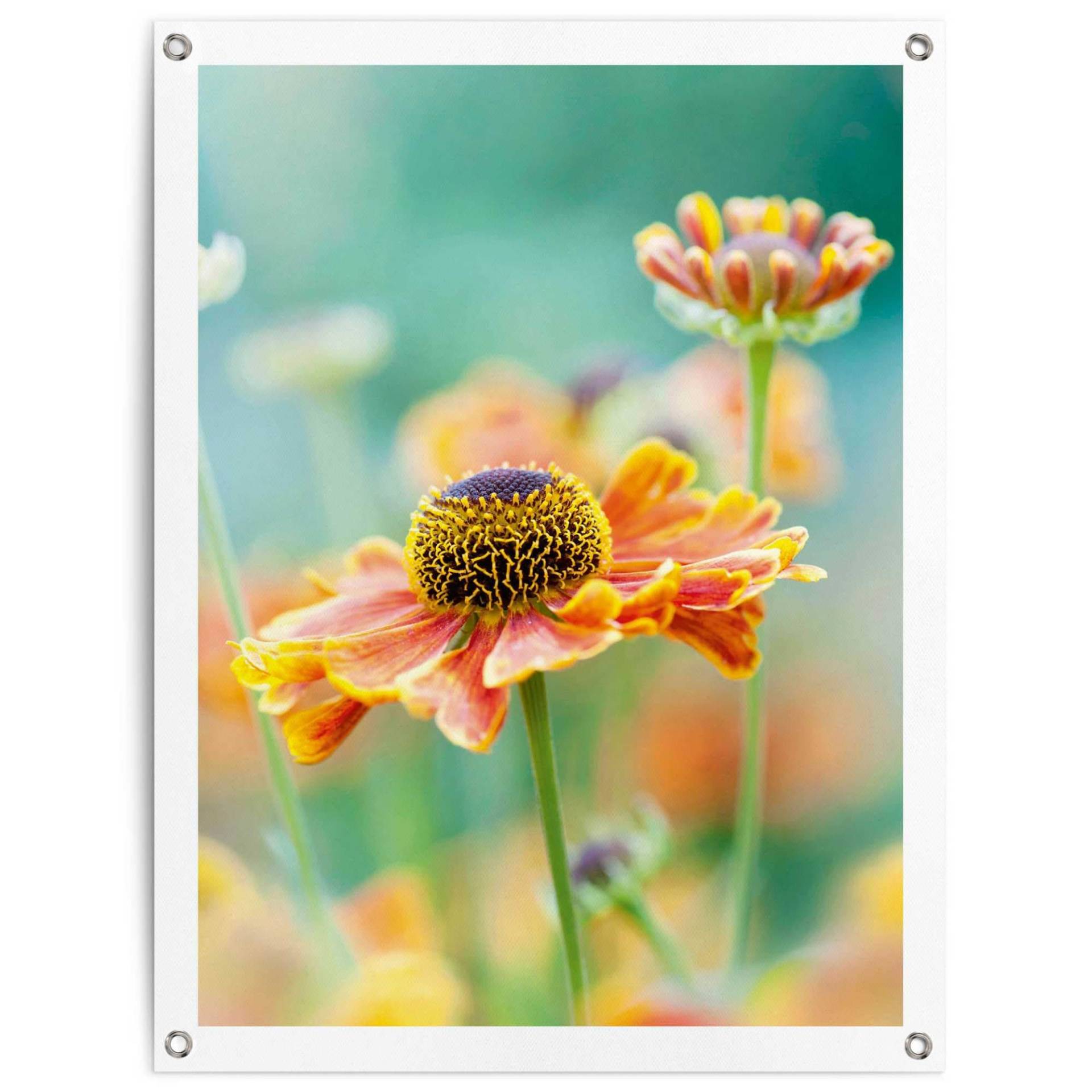 Reinders! Poster »Blume«, Outdoor für Garten oder Balkon Reinders! Poster »Blume«, Outdoor für Garten oder Balkon von Reinders!
