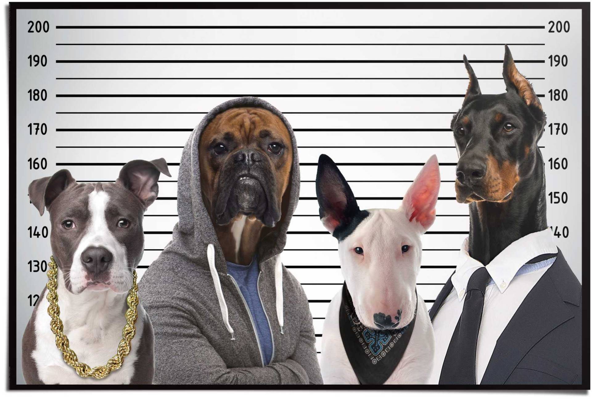 Reinders! Poster »Hunde Mug Shot«, (1 St.) von Reinders!