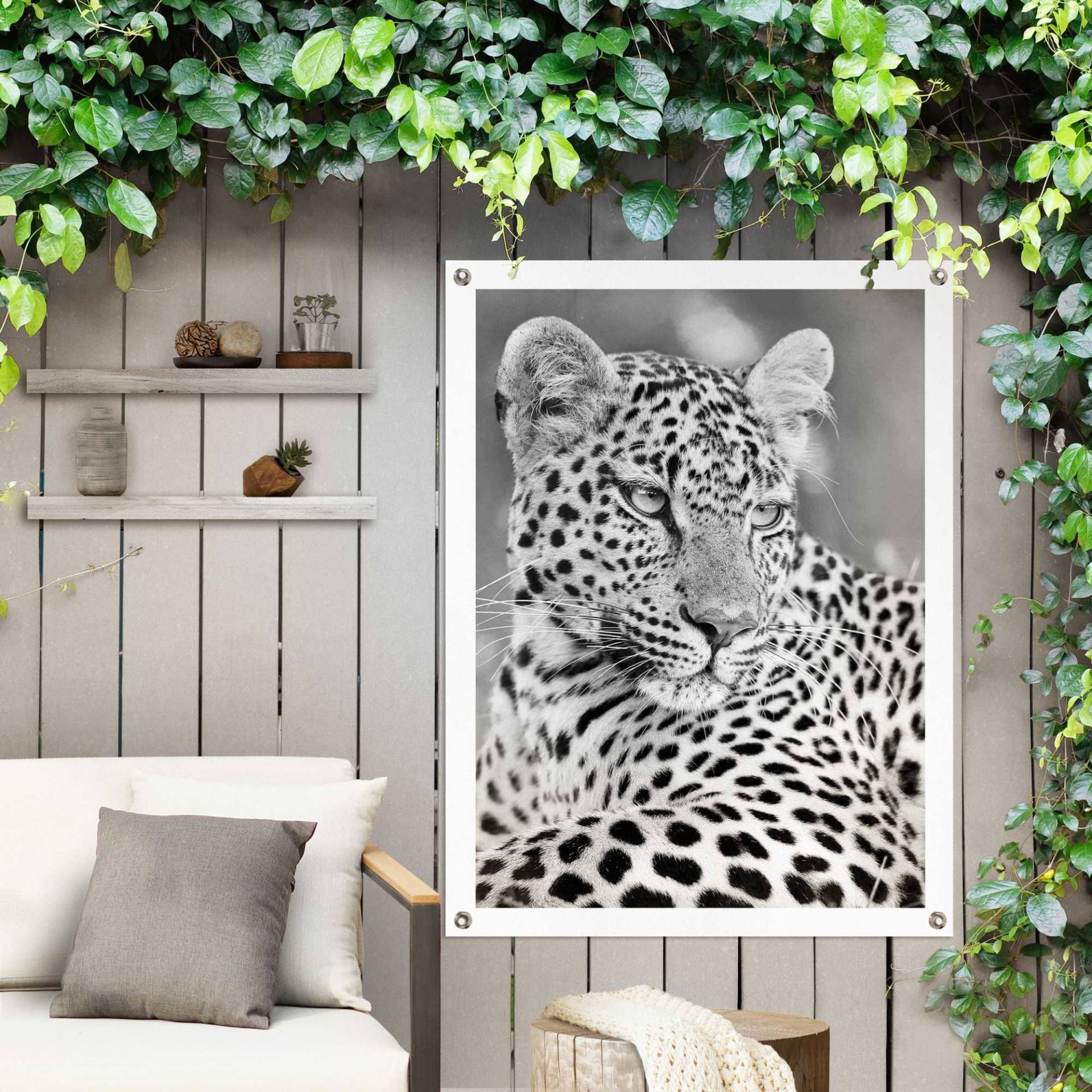 Reinders! Poster »Leopard«, Outdoor für Garten oder Balkon Reinders! Poster »Leopard«, Outdoor für Garten oder Balkon von Reinders!