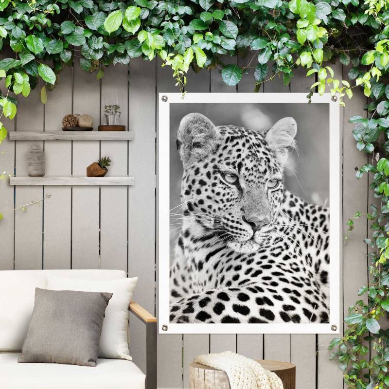 Reinders! Poster »Leopard«, Outdoor für Garten oder Balkon von Reinders!