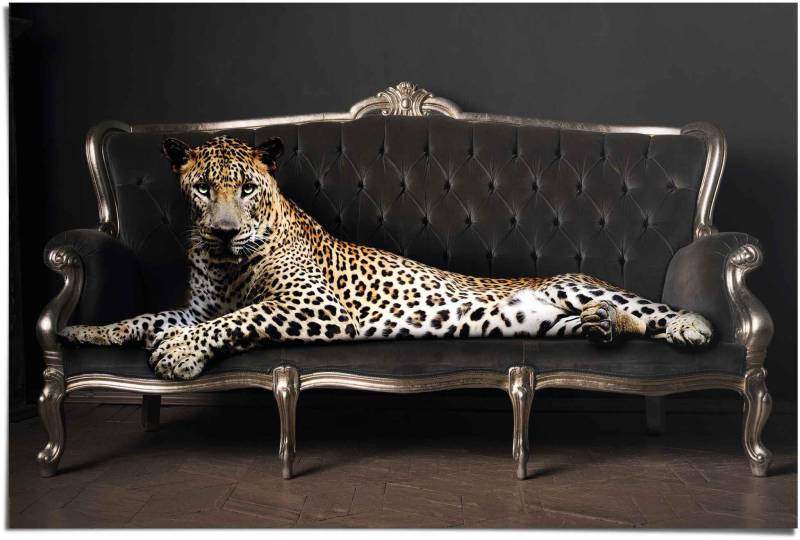 Reinders! Poster »Leopard Chic Panther - Liegend - Luxus - Relax«, (1 St.) von Reinders!