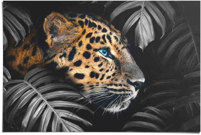 Reinders! Poster »Leopard Jungle - Eyecatcher - Tiermotiv - Modern«, (1 St.) von Reinders!