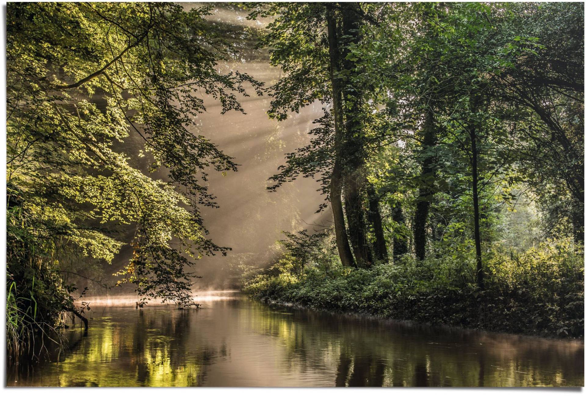 Reinders! Poster »Lichtspiel am Waldsee«, (1 St.) von Reinders!