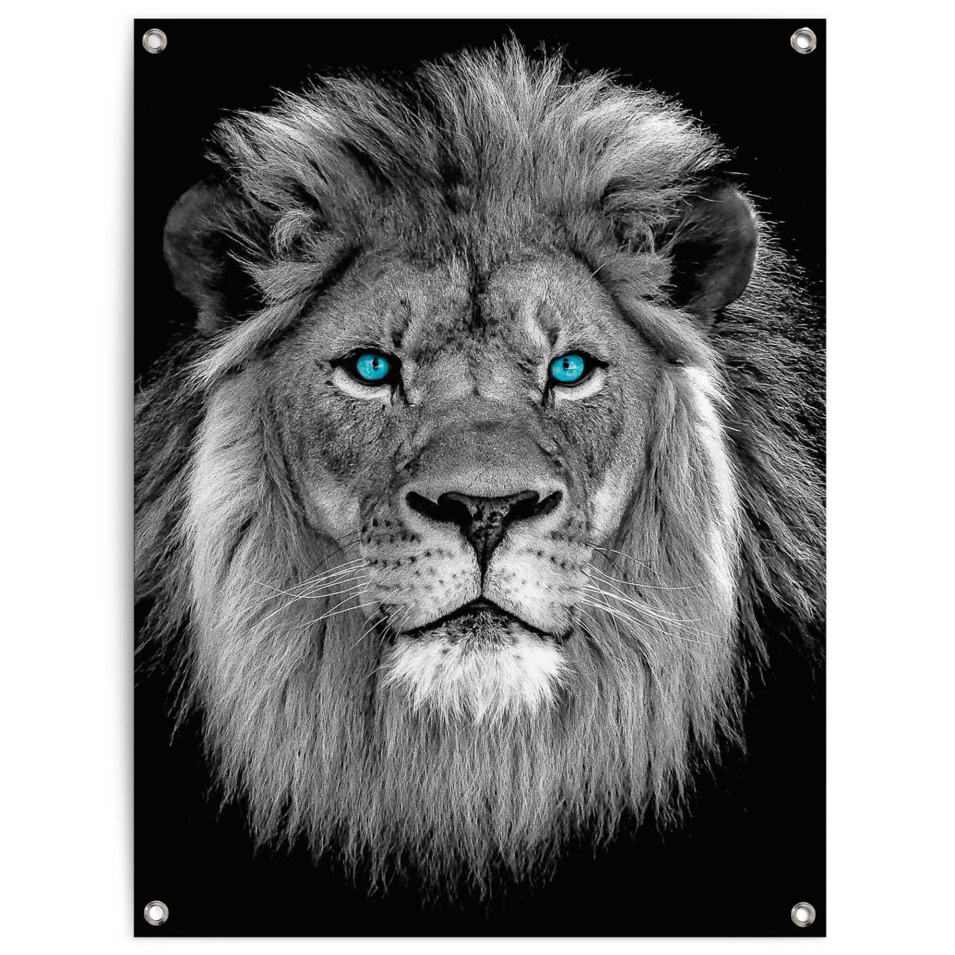 Reinders! Poster »Löwe mit blaue Augen«, Outdoor für Garten oder Balkon Reinders! Poster »Löwe mit blaue Augen«, Outdoor für Garten oder Balkon von Reinders!