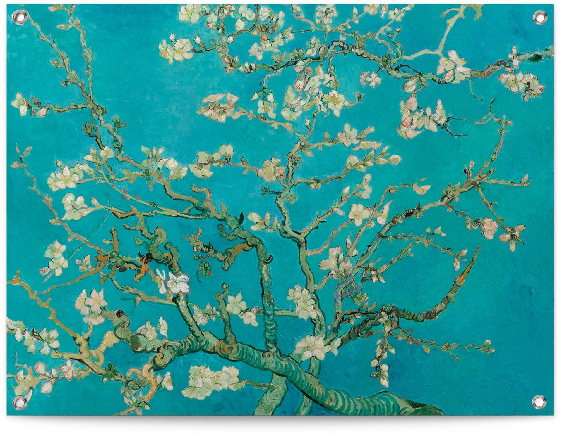 Reinders! Poster »Mandelblüte - Vincent van Gogh« Reinders! Poster »Mandelblüte - Vincent van Gogh« von Reinders!