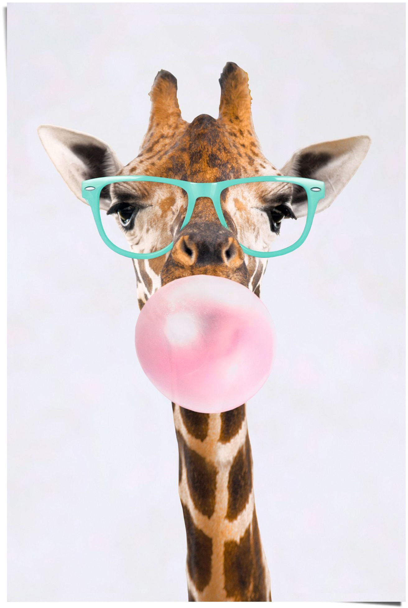 Reinders! Poster »Poster Funky Giraffe«, Giraffen, (1 St.) von Reinders!