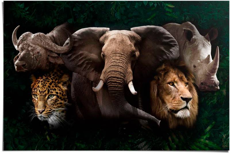 Reinders! Poster »The big five« von Reinders!