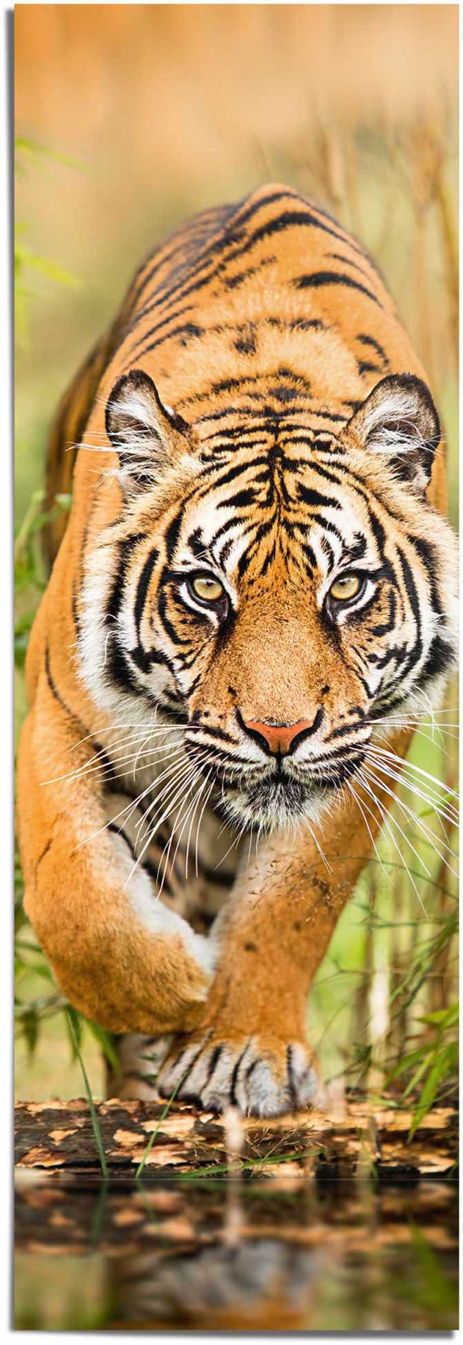 Reinders! Poster »Tiger im Anflug« von Reinders!