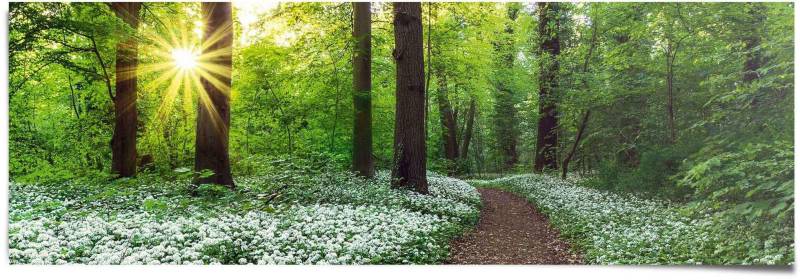 Reinders! Poster »Waldlichtung Frühling«, (1 St.) von Reinders!