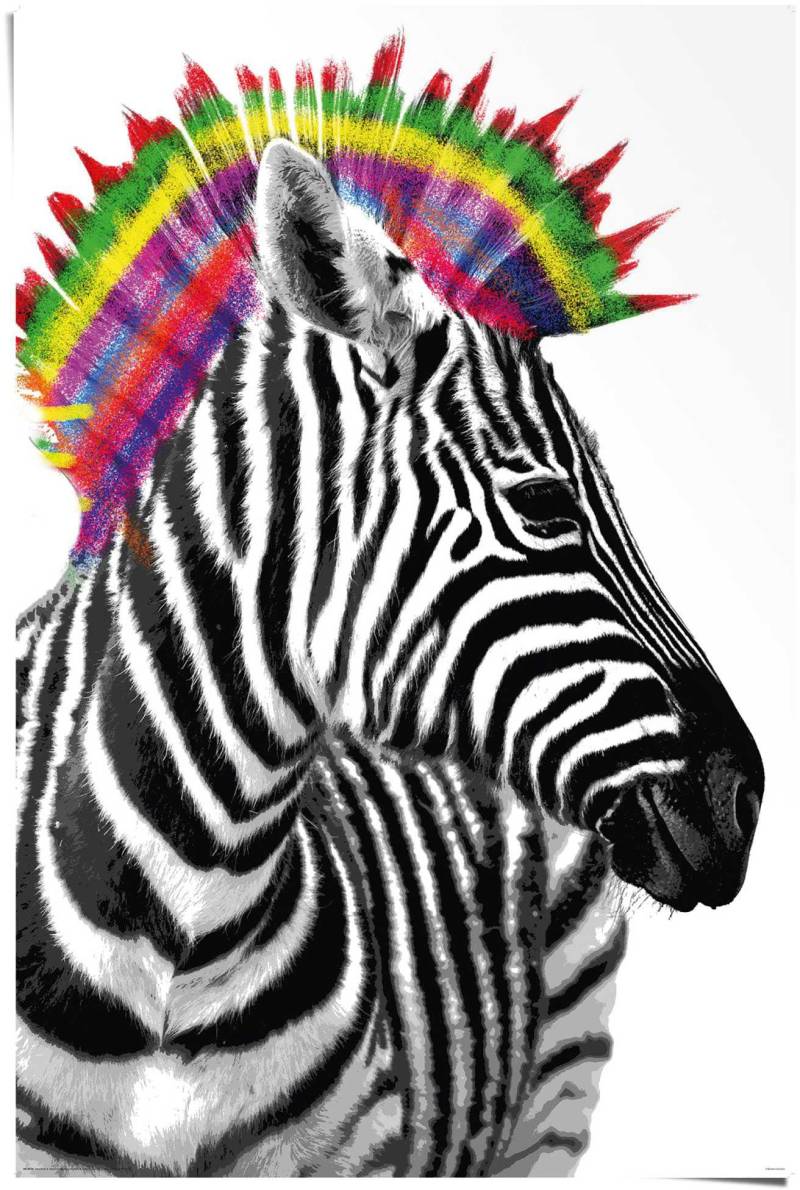 Reinders! Poster »Zebra Punk«, (1 St.) von Reinders!