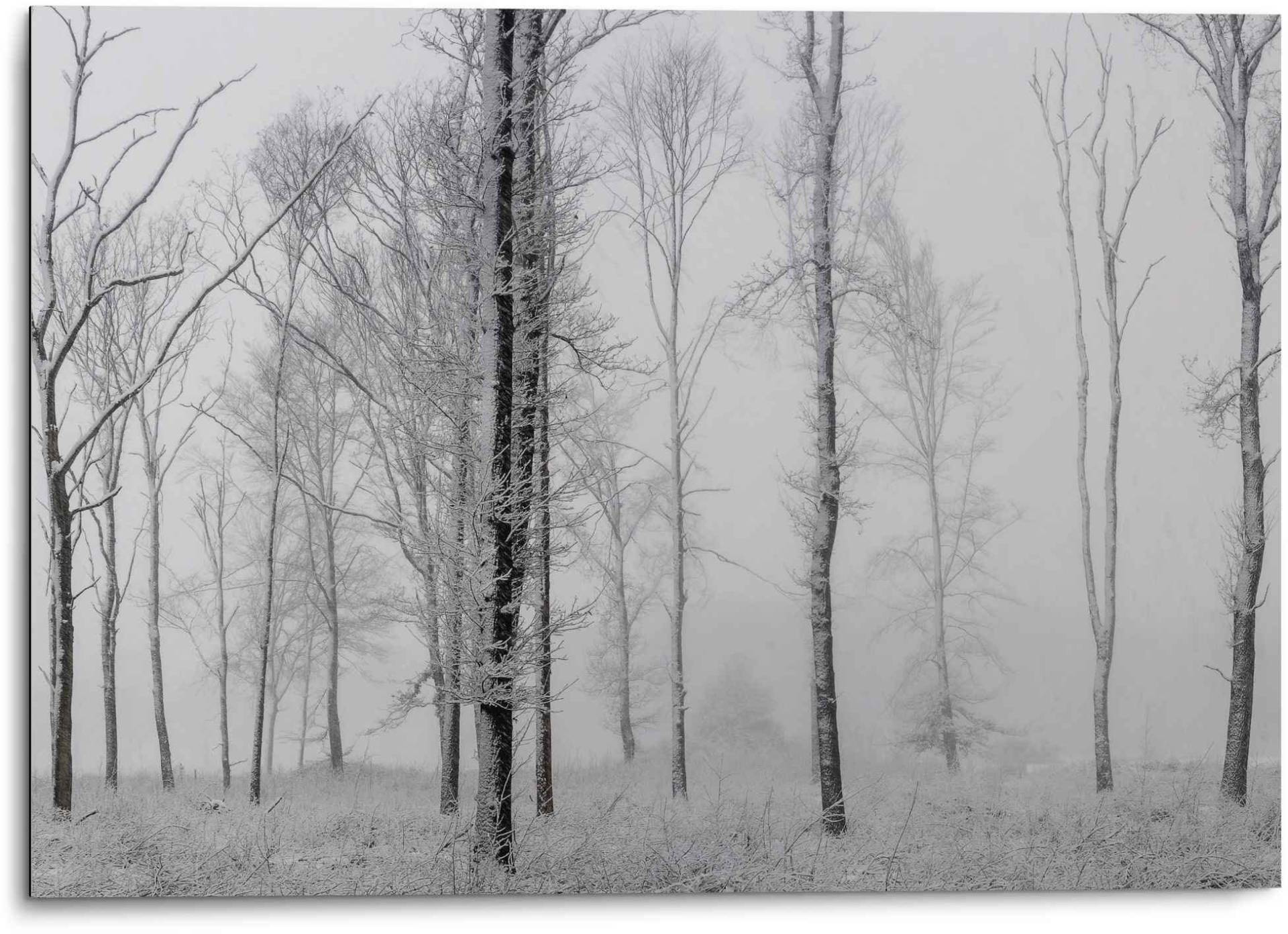 Reinders! Wandbild »Aluminium Wandbild Still Natur - Schwarz-Weiss - Wald - Bäume«, Stillleben, (1 St.) von Reinders!