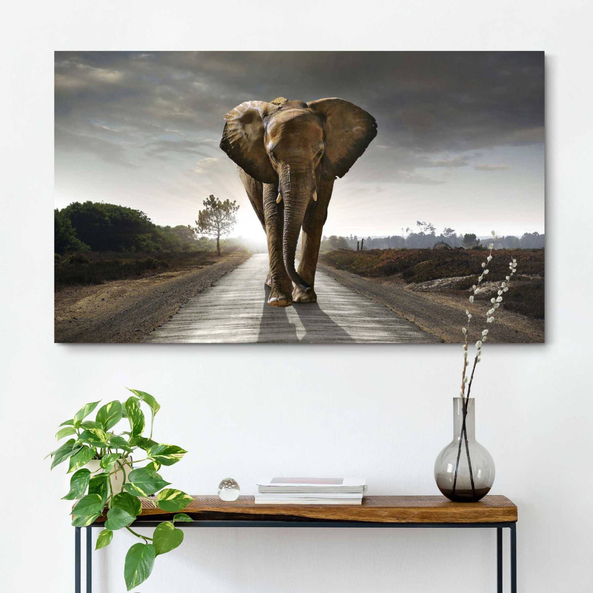 Reinders! Wandbild »Elefant König« von Reinders!