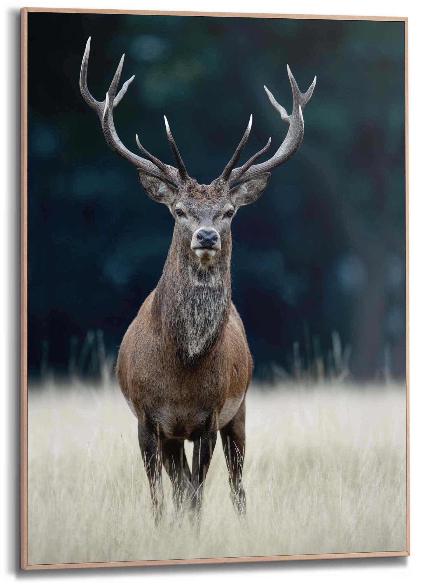 Reinders! Wandbild »Slim Frame Wood 50x70 Deer« Reinders! Wandbild »Slim Frame Wood 50x70 Deer« von Reinders!