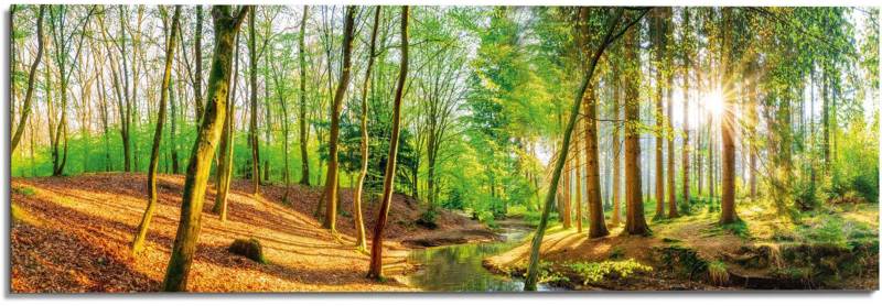 Reinders! Wandbild »Sonniger Wald« von Reinders!