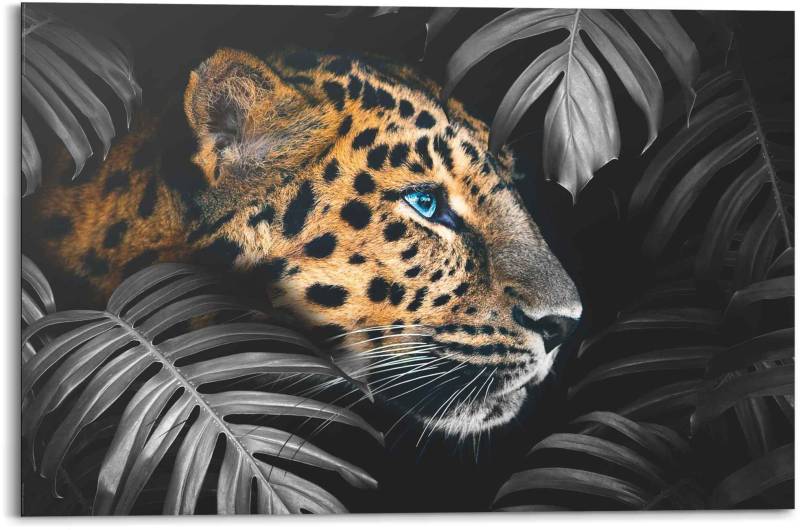 Reinders! Wandbild »Wandbild Leopard Jungle - Pflanze - Tiermotiv«, Leopard, (1 St.) von Reinders!