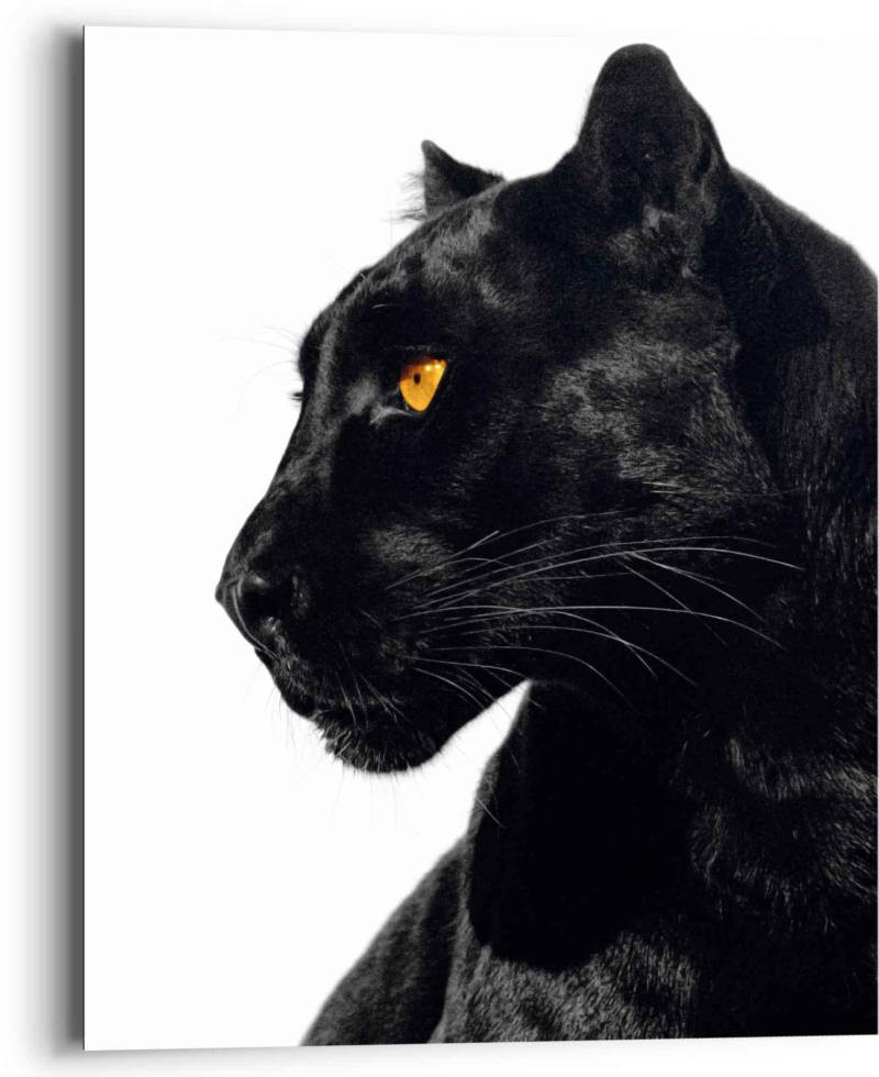 Reinders! Wandbild »Wandbild Schwarzer Panther Tierportrait - Seitenblick«, Tiere, (1 St.) von Reinders!