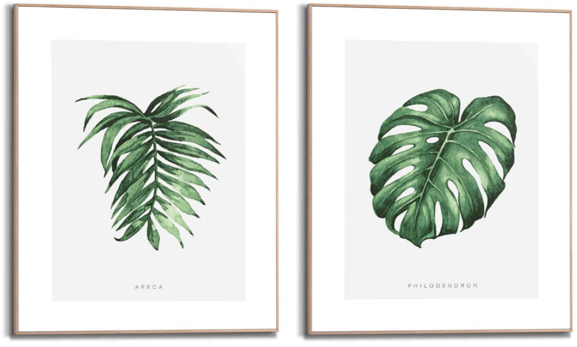 Reinders! Wandbild »Wandbilder Set Naturmotiv Philodendron - Pflanze - Areca - Palme«, Natur, (2 St.) von Reinders!