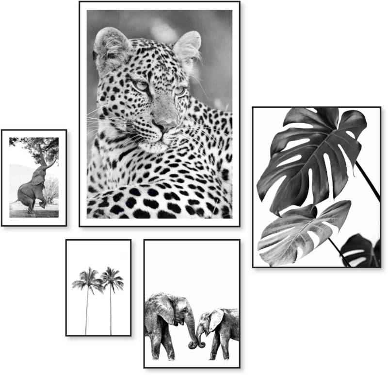 Reinders! Wandbild »Wildtiere Afrika - Botanisch - Natur - Monstera«, (5 St.) von Reinders!