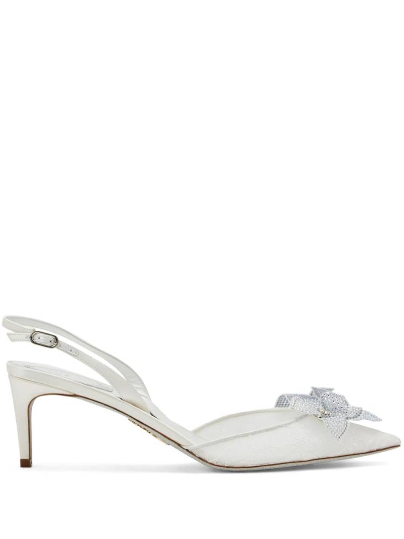 René Caovilla 60mm Floriane pumps - White von René Caovilla