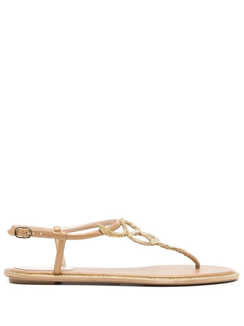 René Caovilla snake crystal embellished flat sandals - Brown von René Caovilla