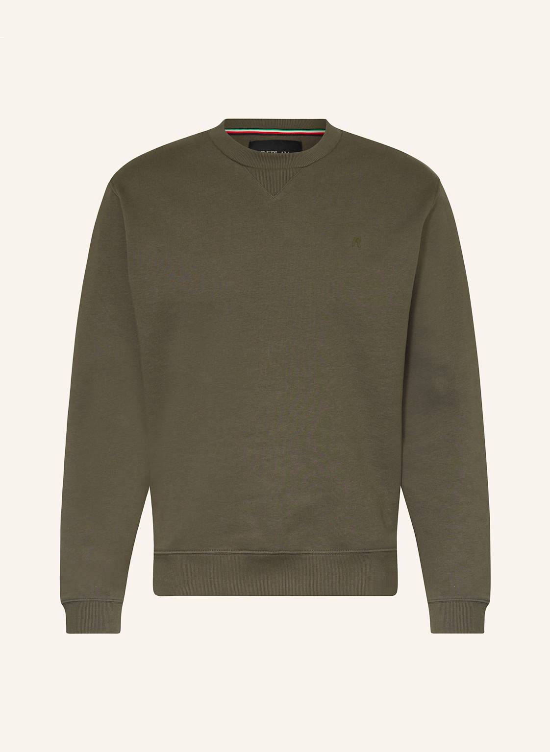 Replay Sweatshirt gruen von Replay